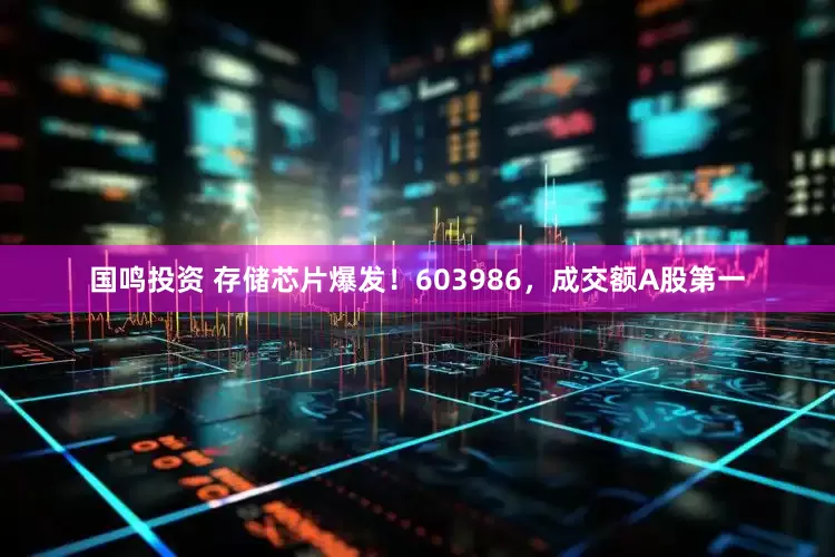 国鸣投资 存储芯片爆发！603986，成交额A股第一